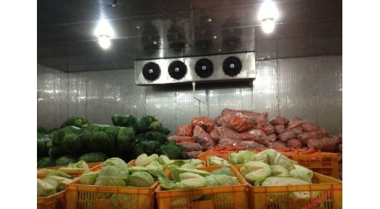 蔬菜水果保鲜冷库